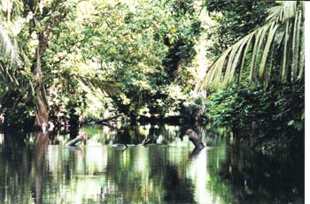 Seitenkanal